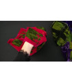 1245 - Silk velvet stole